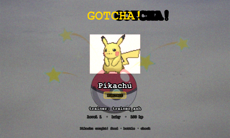 Successful catch card