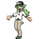 N